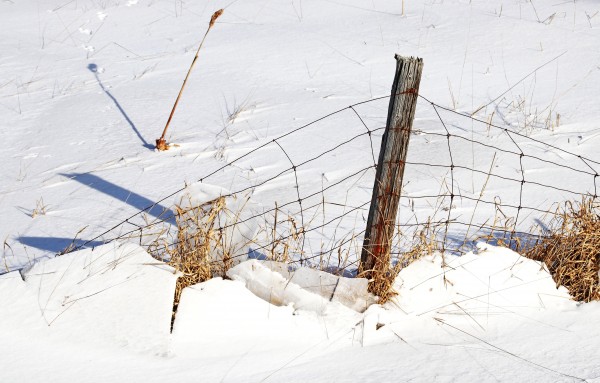 Weight Of Winter I by Deb Oppermann
